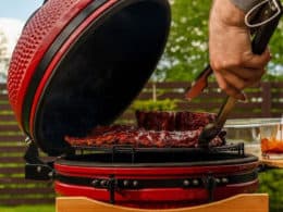 Best Kamado Grill