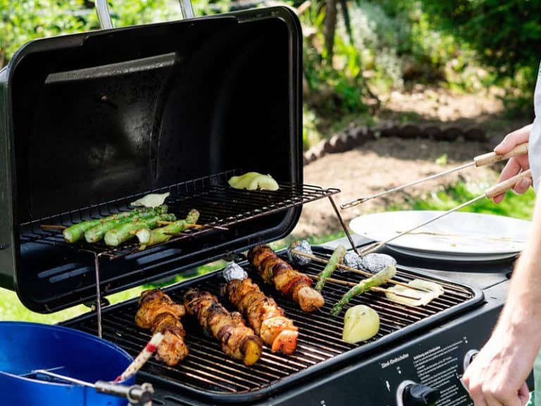 Best Gas Grills