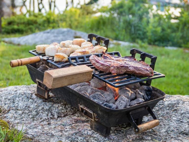Best Hibachi Grills
