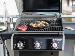 Best Weber Gas Grills