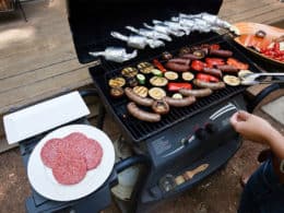 Best 2-Burner Gas Grills