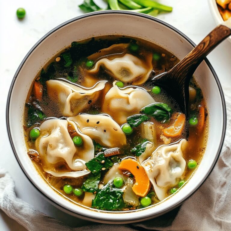 Potsticker Soup Recipe