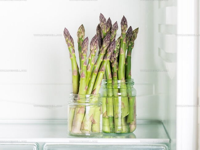 Shelf Life