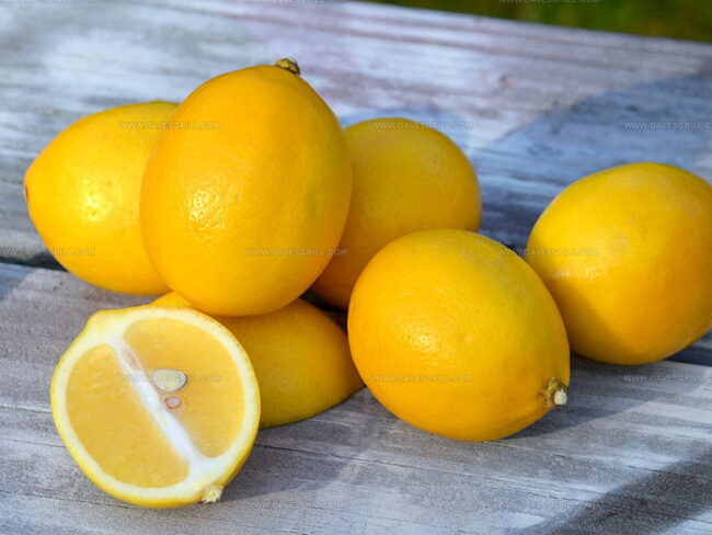 When Are Meyer Lemons in Season?