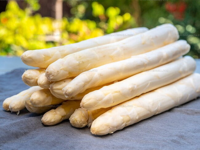 Understanding The Overview of White and Green Asparagus