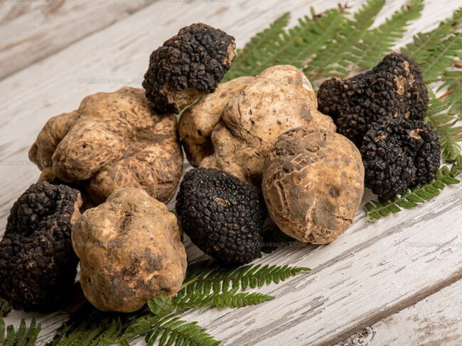 Black vs. White Truffle Comparison