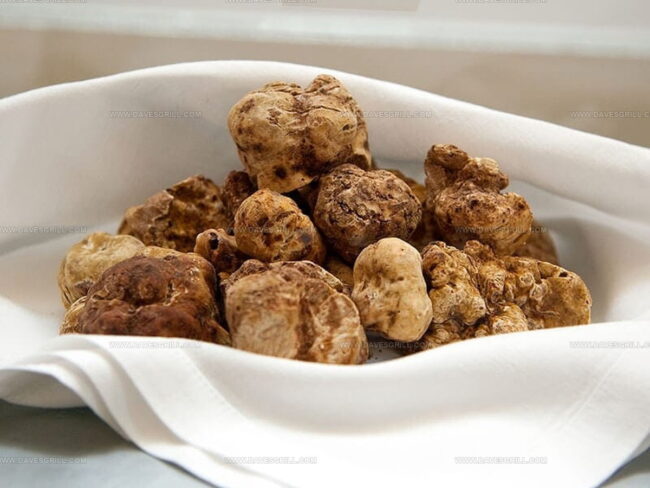 What Are White Truffles?