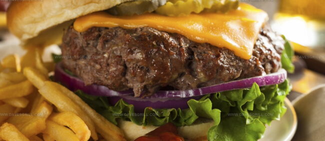Bison Burger