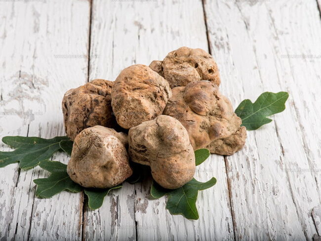 Taste of White Truffles